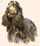gordonx.jpg (974 bytes)